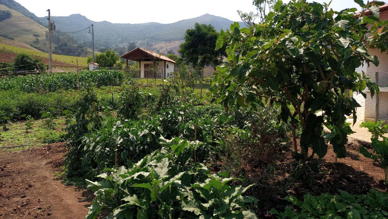 上波苏Quinta Do Papagaio别墅 外观 照片