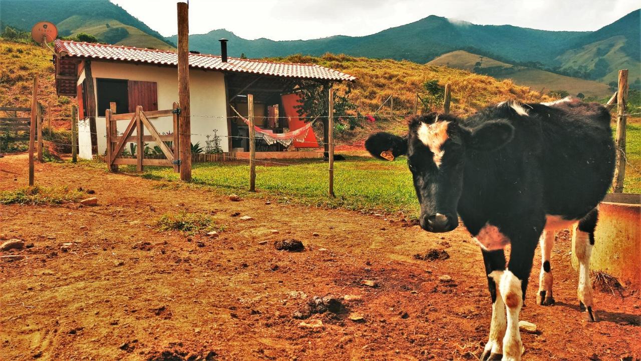 上波苏Quinta Do Papagaio别墅 外观 照片